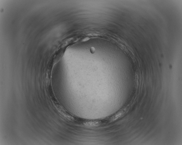 X0000084560422200703091750