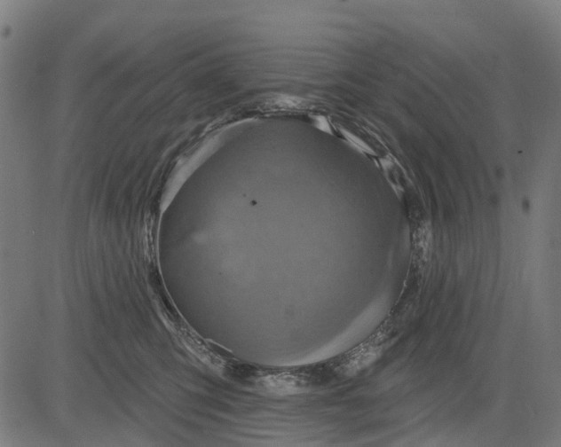 X0000084560423200703091750