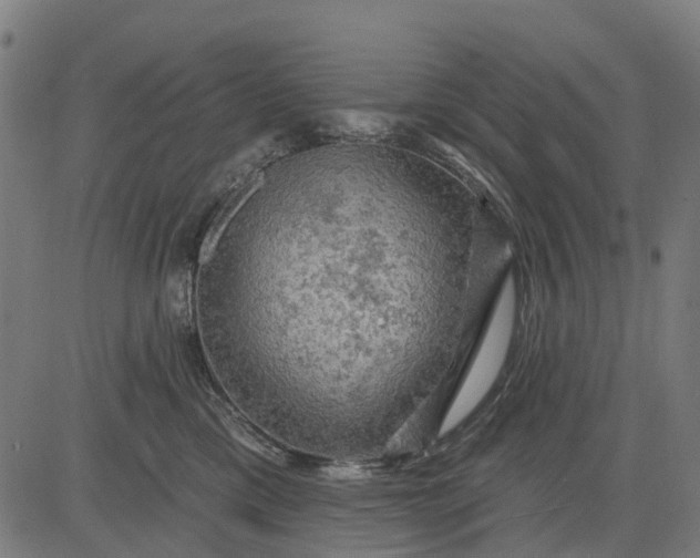 X0000084560425200703091750