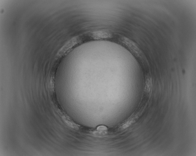 X0000084560426200703091750