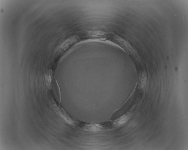 X0000084560427200703091750