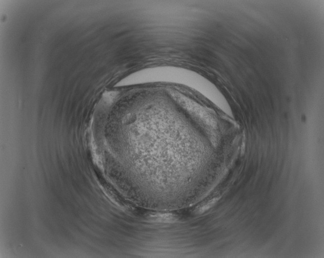 X0000084560428200703091750