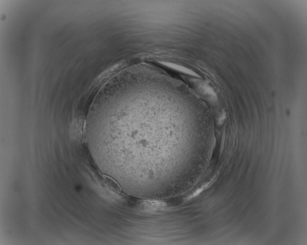 X0000084560429200703091750