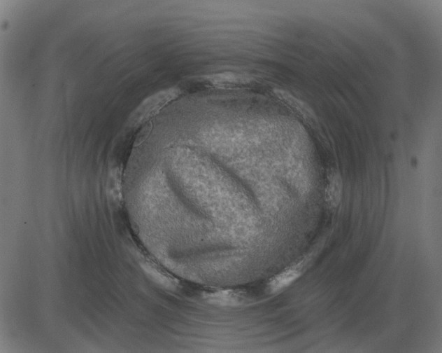 X0000084560430200703091750