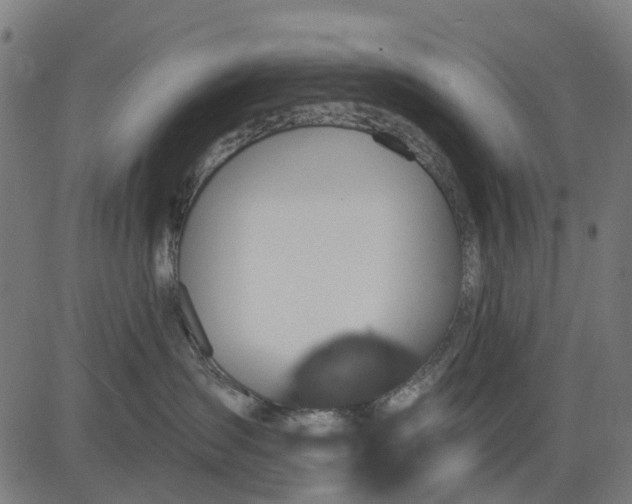 X0000084560431200703091750