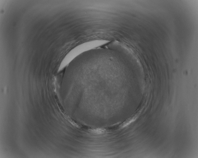 X0000084560432200703091750