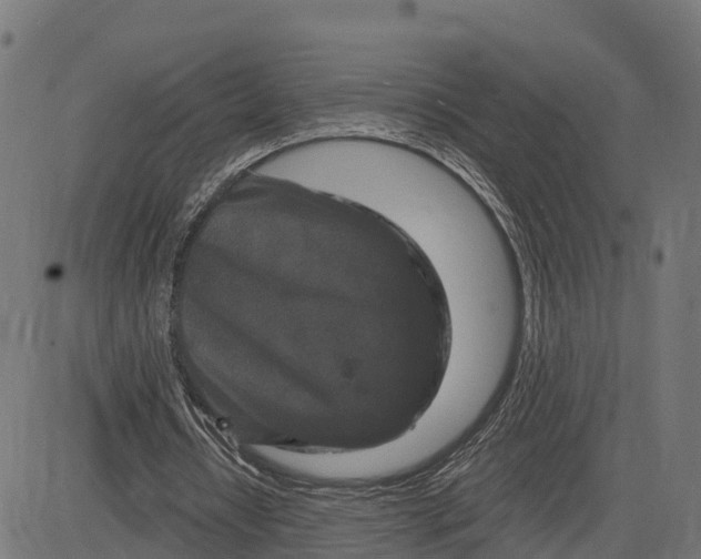 X0000084560434200703091749