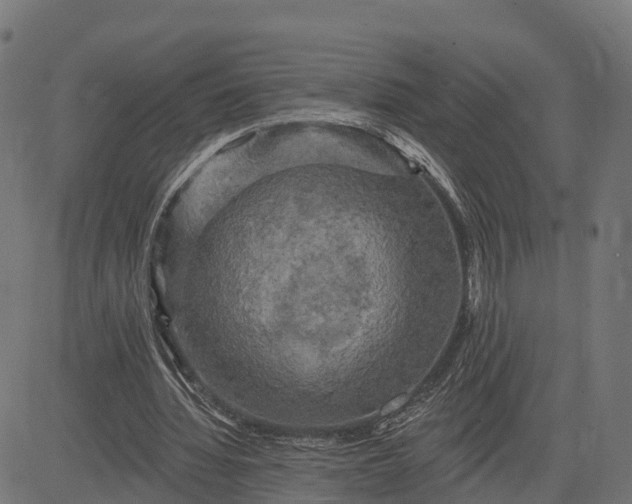 X0000084560436200703091749