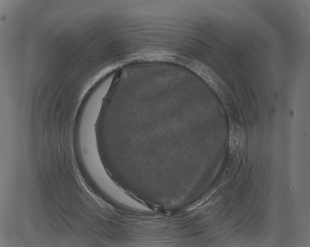 X0000084560438200703091749