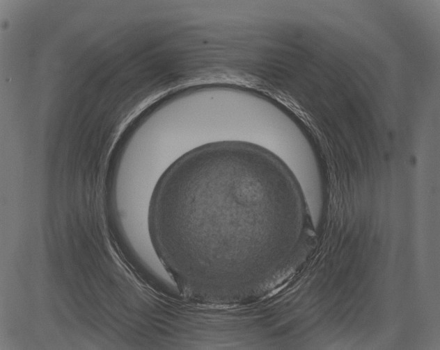 X0000084560440200703091749