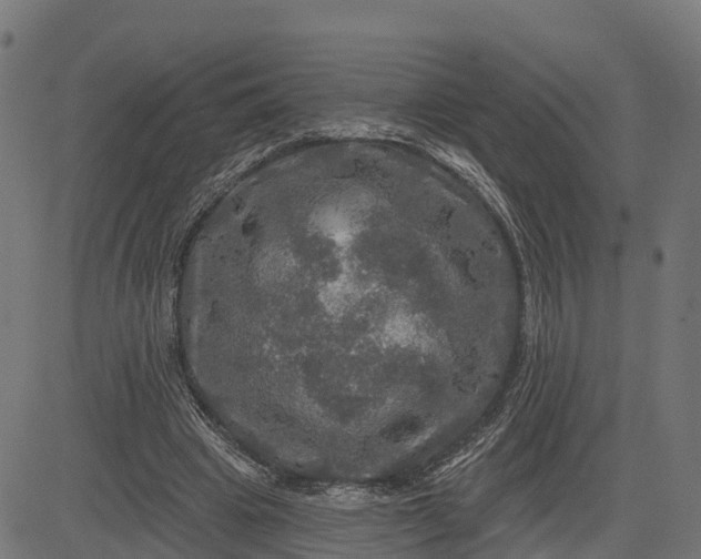 X0000084560441200703091749