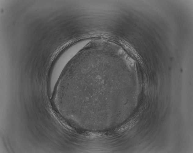 X0000084560442200703091749