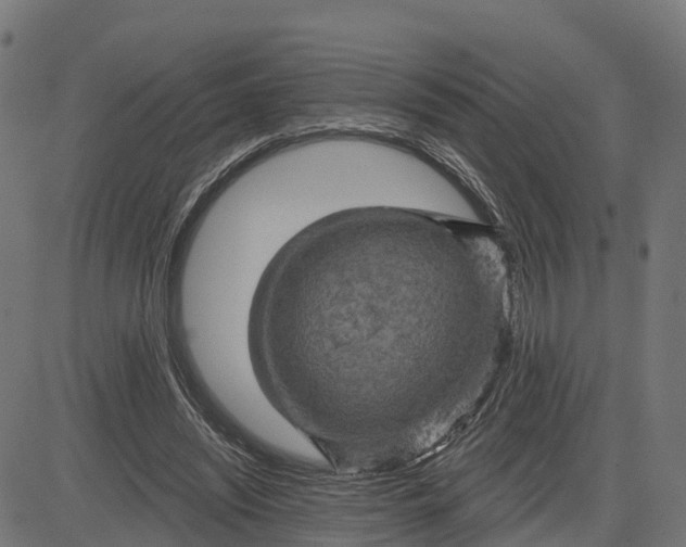 X0000084560444200703091749