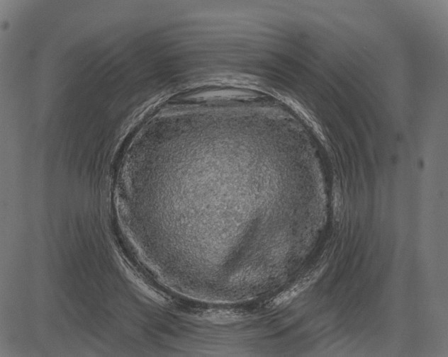 X0000084560445200703091749