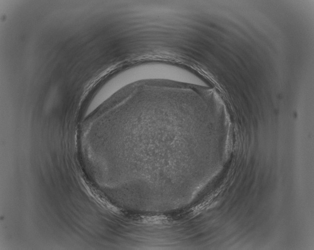 X0000084560446200703091749