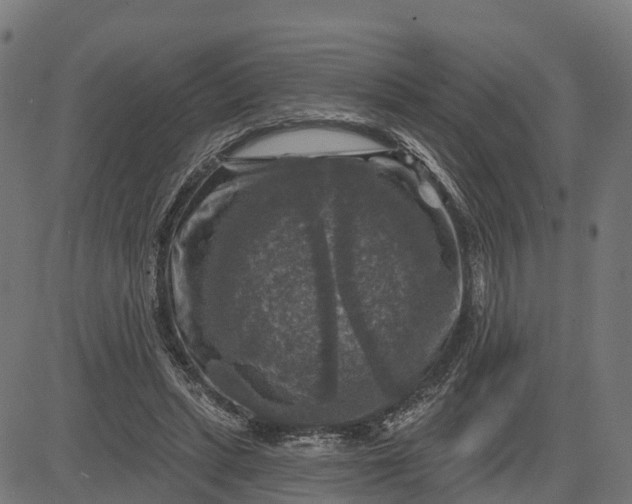 X0000084560447200703091749