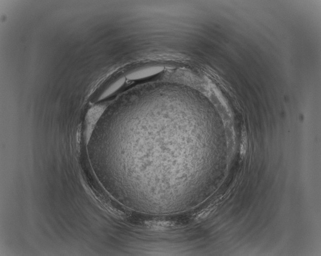 X0000084560448200703091749