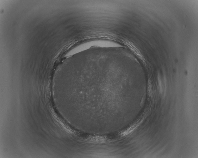 X0000084560449200703091749