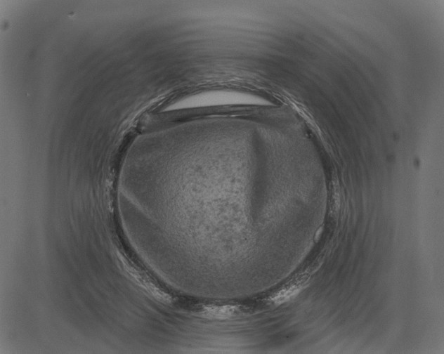 X0000084560450200703091749