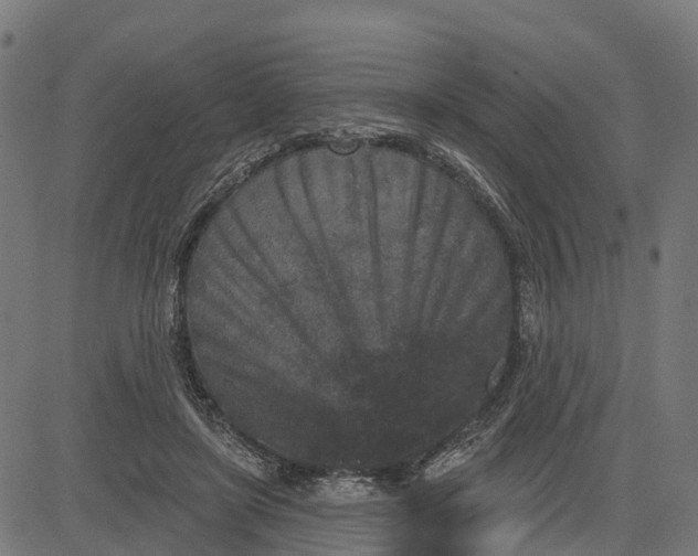 X0000084560451200703091749