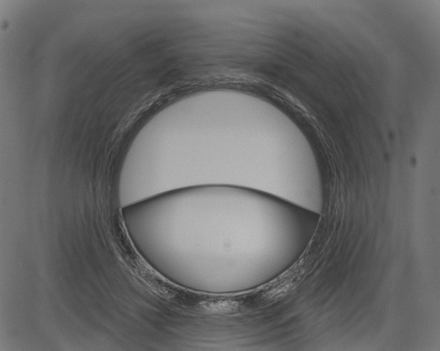 X0000084560452200703091749