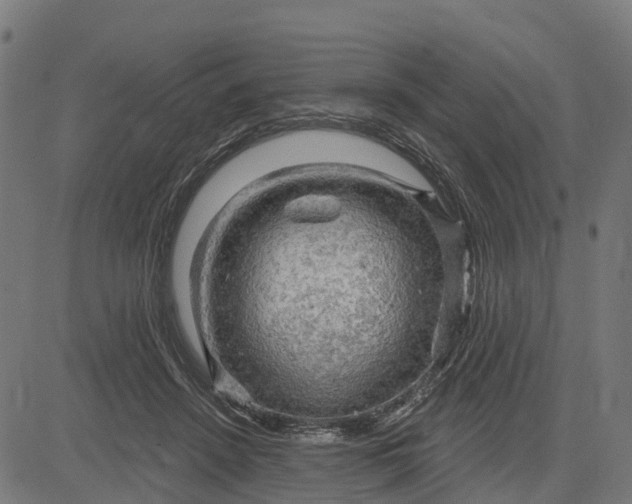 X0000084560456200703091749