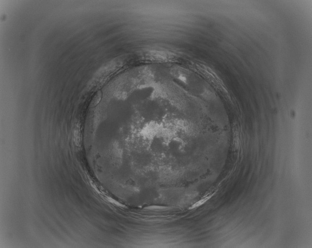 X0000084560457200703091749