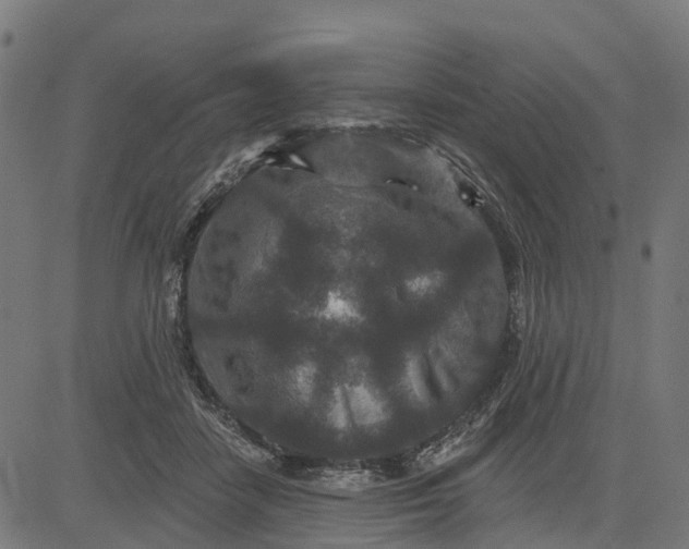 X0000084560458200703091749