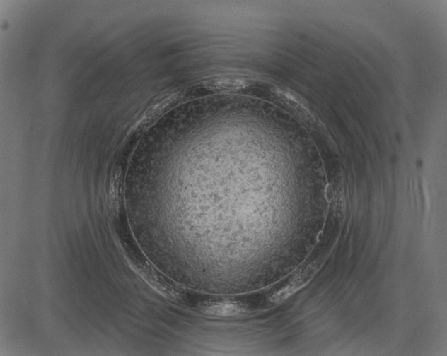 X0000084560460200703091749