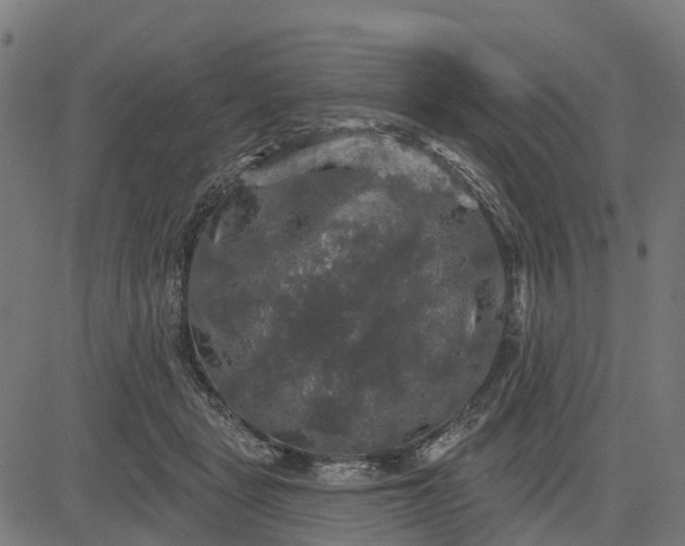 X0000084560461200703091749