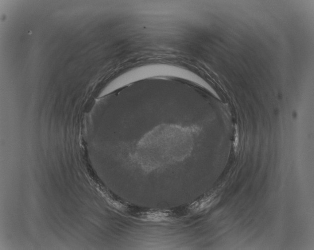 X0000084560462200703091749