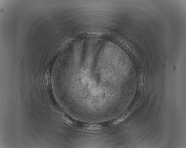 X0000084560463200703091749