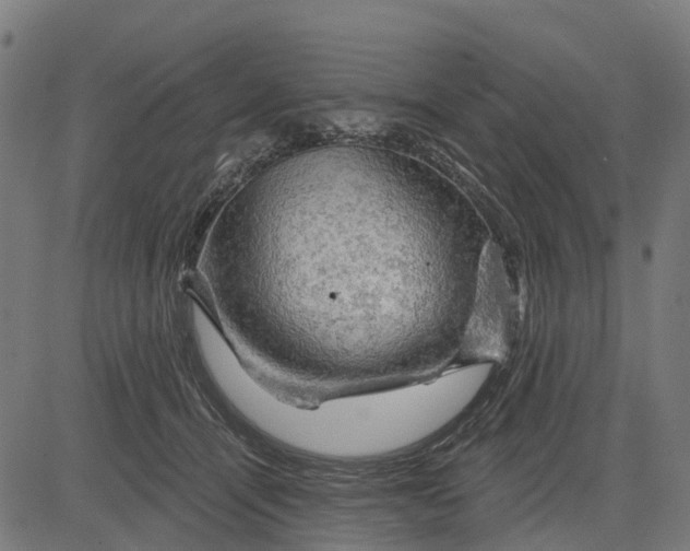 X0000084560464200703091749