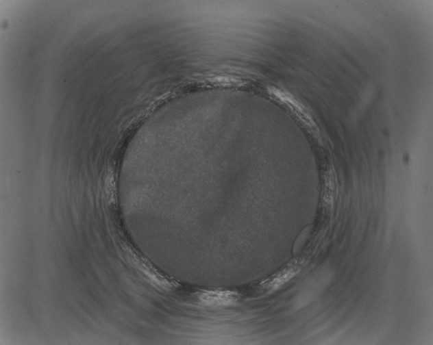 X0000084560465200703091749