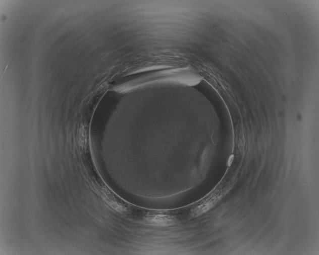 X0000084560467200703091749