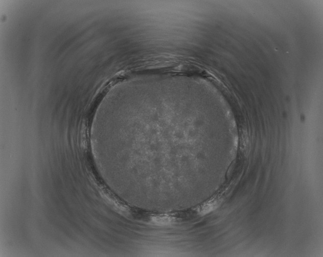 X0000084560470200703091750