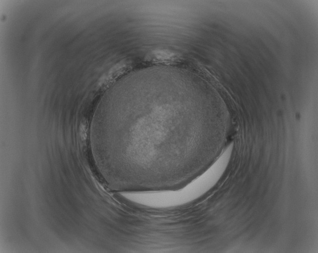 X0000084560472200703091750