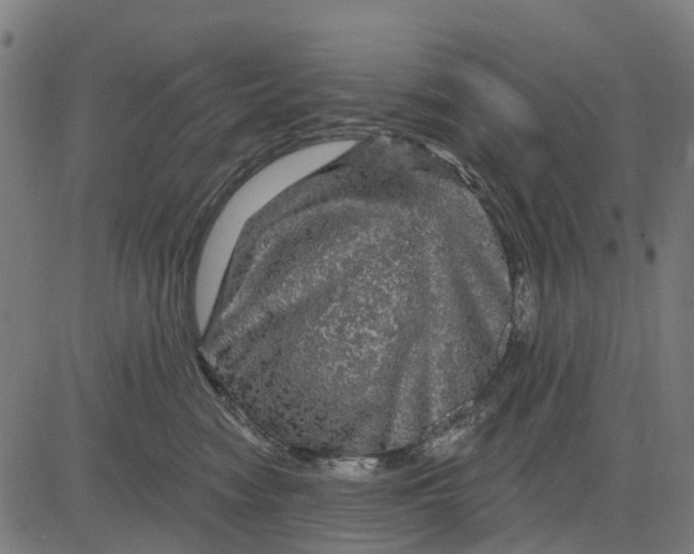 X0000084560474200703091750