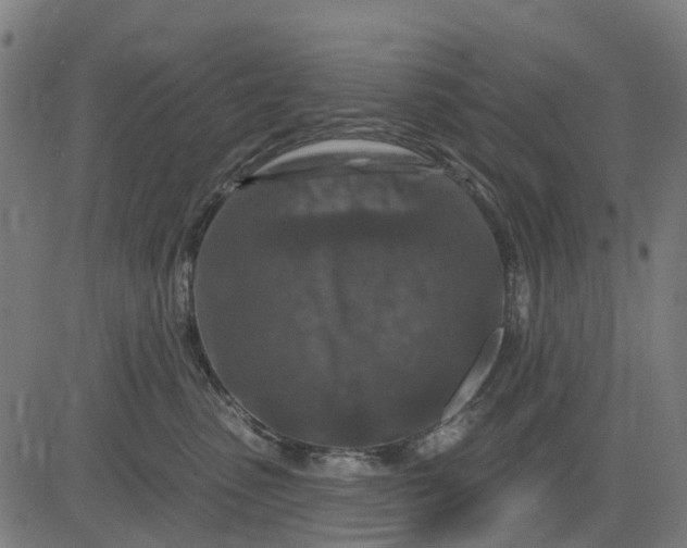 X0000084560475200703091750