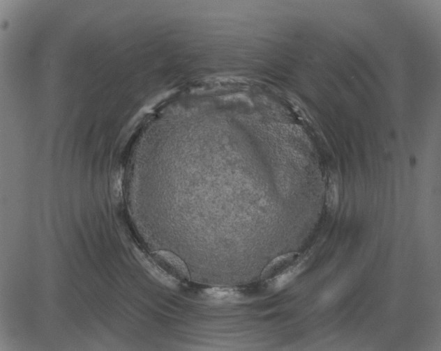 X0000084560477200703091750