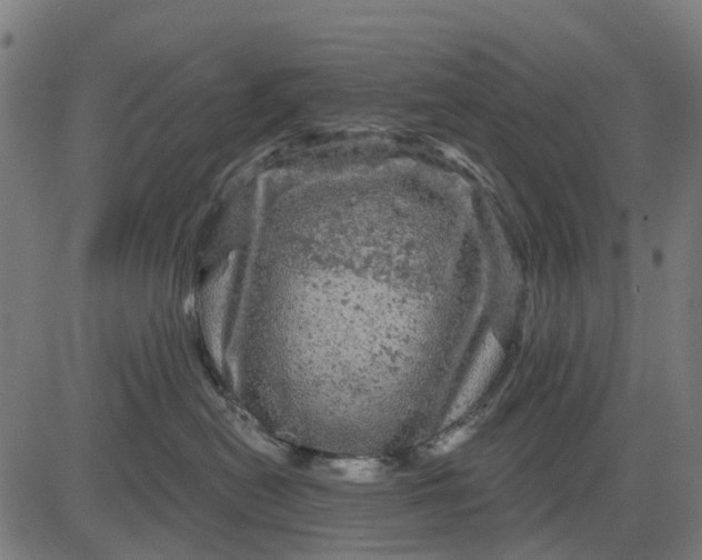 X0000084560478200703091750