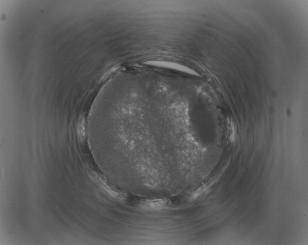 X0000084560479200703091750