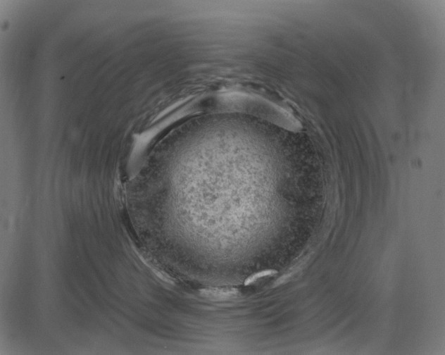 X0000084560480200703091750