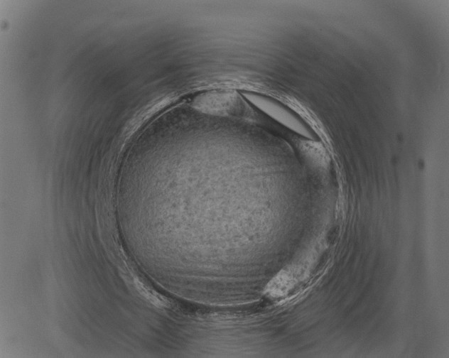 X0000084560481200703091749