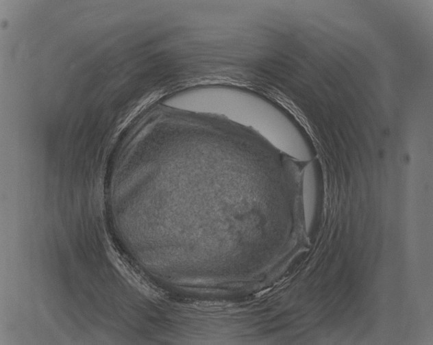 X0000084560482200703091749