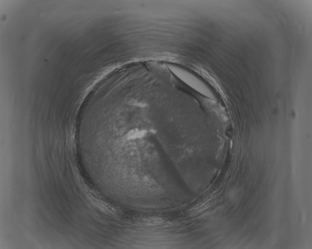 X0000084560483200703091749