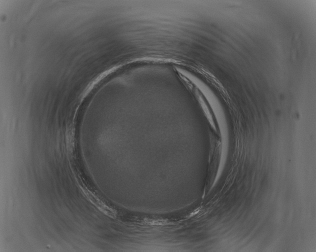 X0000084560484200703091749