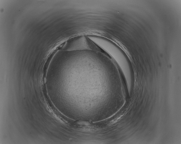 X0000084560485200703091749