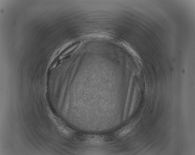 X0000084560486200703091749