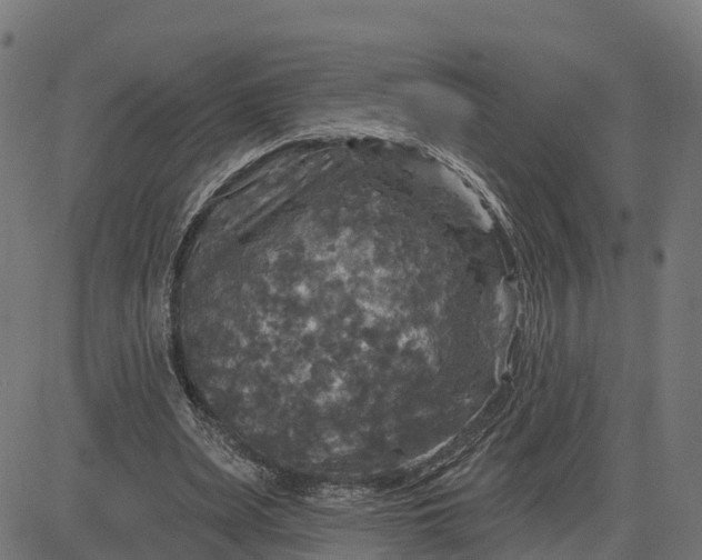 X0000084560487200703091749